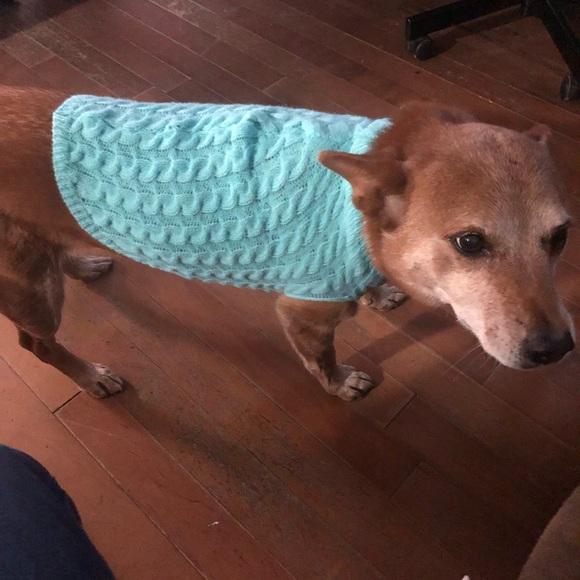 Meet your Posher, Angel - Picture 3 of 8